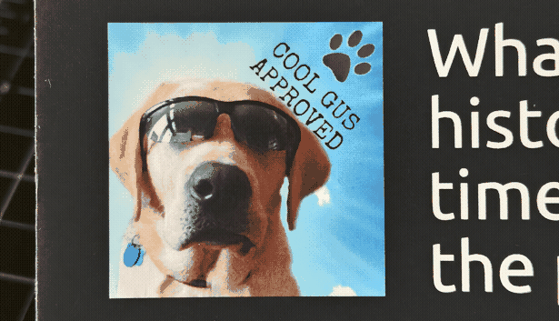 Closeup of the back cover of Area 51 Legend. A square photo of a yellow labrador wearing wraparound sunglasses on a blue background, with the text 'COOL GUS APPROVED' set in a typewriter font in all caps in the upper corner