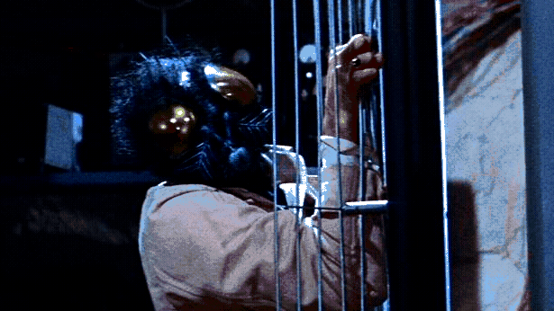 A guy with a bug head wrestles with some piece of lab equipment