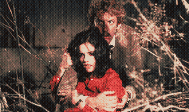 Donald Sutherland and Brooke Adams hide in some tall grass from the titular body snatchers